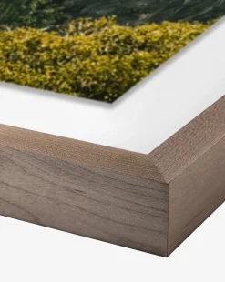 Above The Clouds by Wesley and Emma Teague