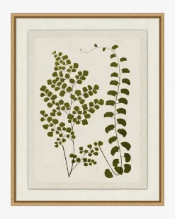 Botanical Pressings III