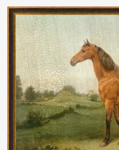 Brown Horse