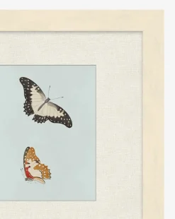 Butterflies Study II