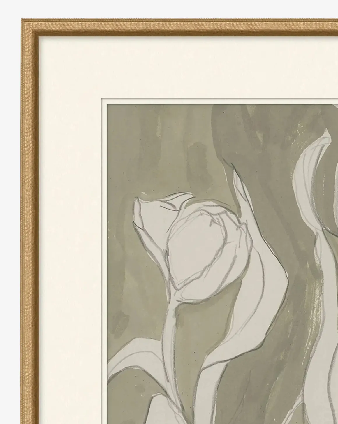 Delicate Tulip II by Rebekah Webb