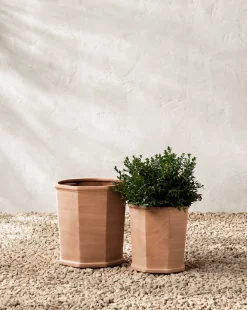 Dempsey Terracotta Pot