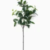 Faux Laurel Leaf Branch
