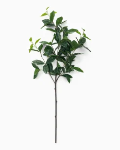 Faux Laurel Leaf Branch
