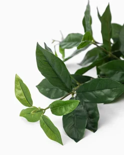 Faux Laurel Leaf Branch