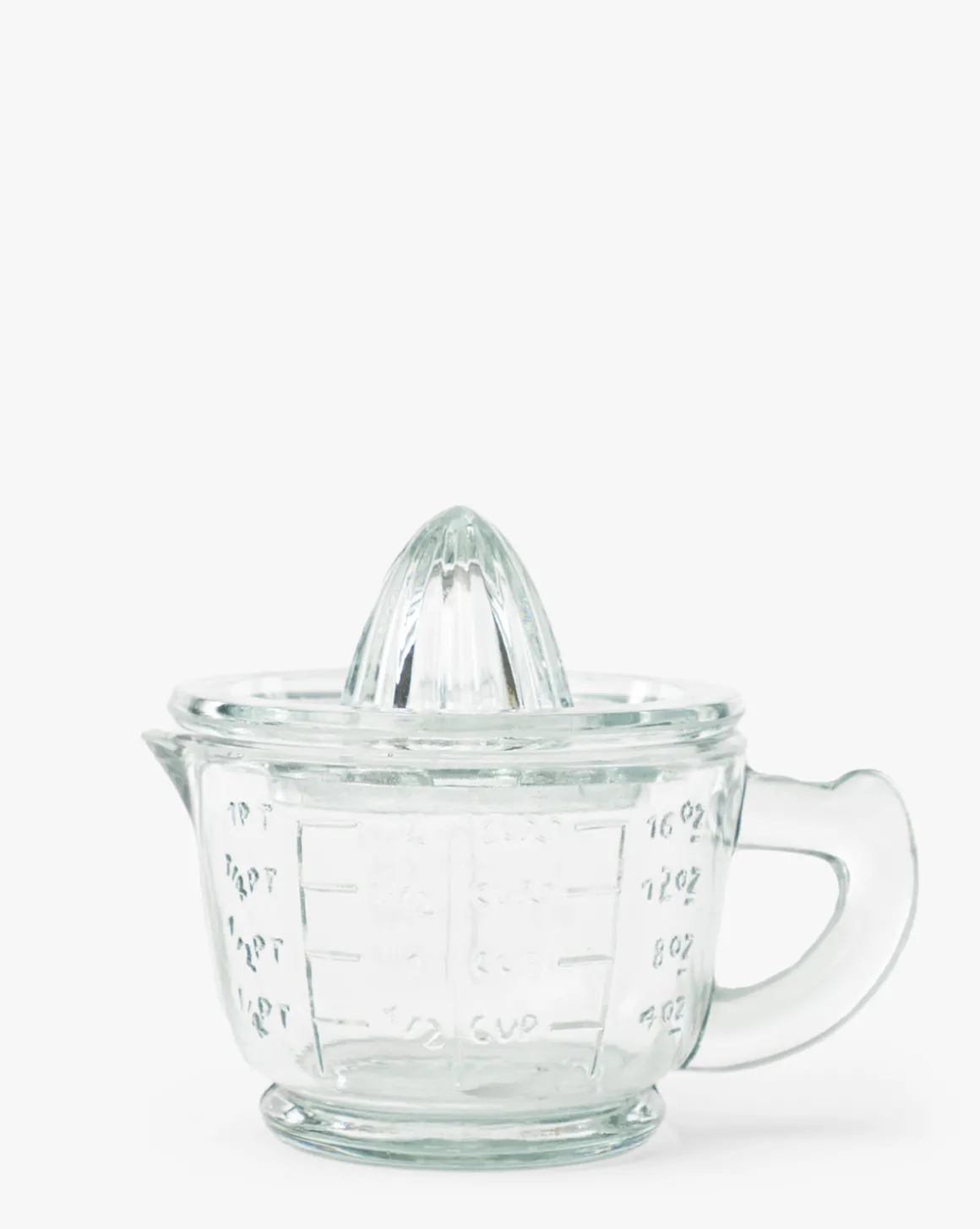 Glass Juicer with Measuring Cup