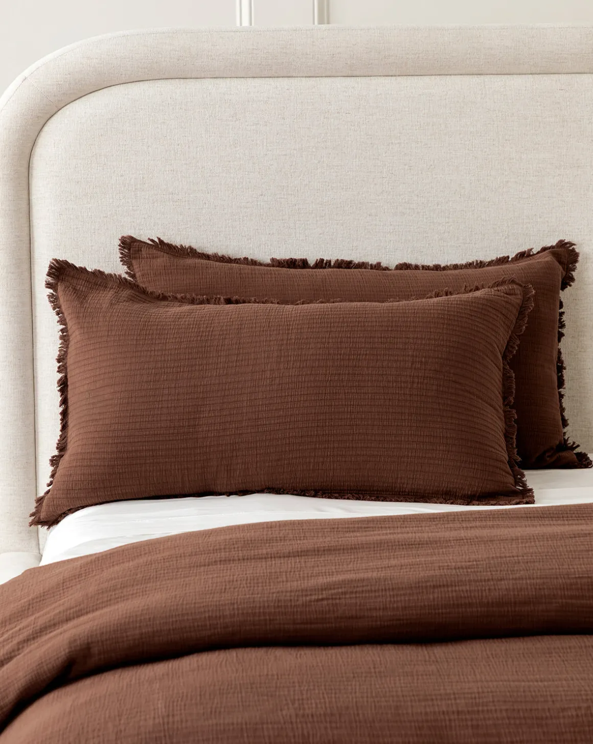 Hendricks Chocolate Cotton Shams (Set of 2)