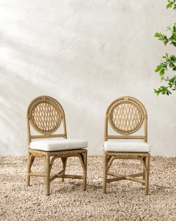 Marisol Indoor/Outdoor Dining Chair (Set of 2)