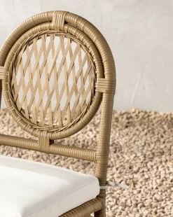 Marisol Indoor/Outdoor Dining Chair (Set of 2)