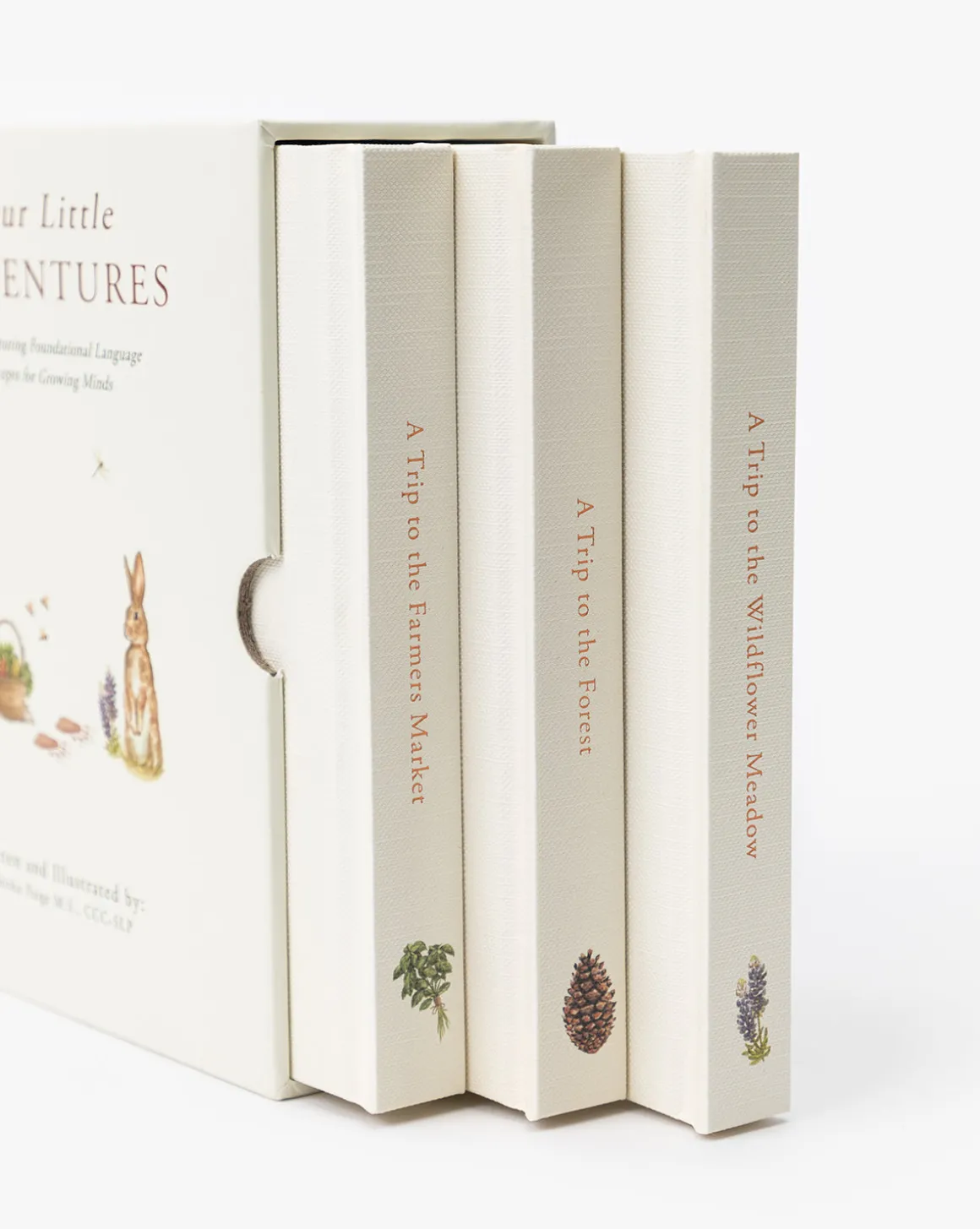 Our Little Adventures