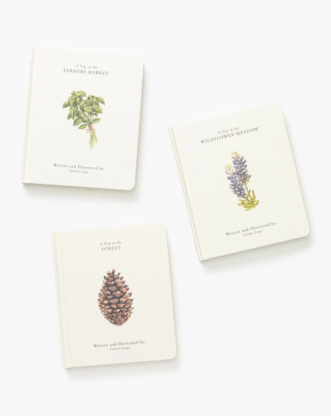 Our Little Adventures