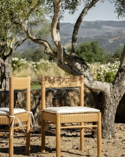 Simeon Outdoor Dining Chair