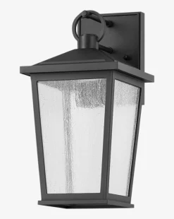 Soren Frosted Indoor/Outdoor Wall Sconce