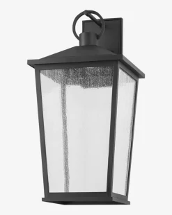 Soren Frosted Indoor/Outdoor Wall Sconce