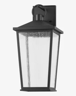 Soren Frosted Indoor/Outdoor Wall Sconce