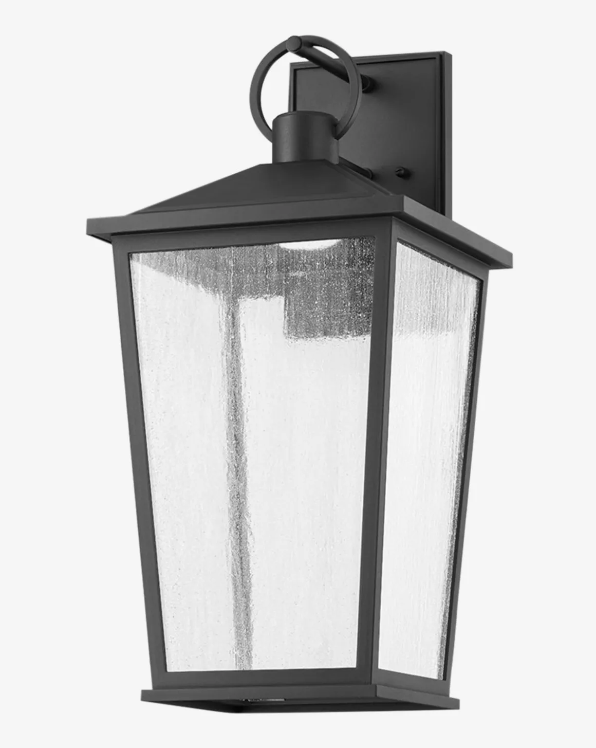 Soren Frosted Indoor/Outdoor Wall Sconce