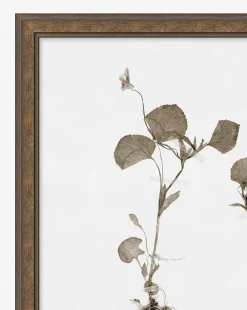 Subdued Botanicals II