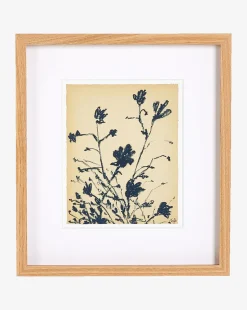 Summer Weed by Shaina Page