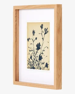 Summer Weed by Shaina Page